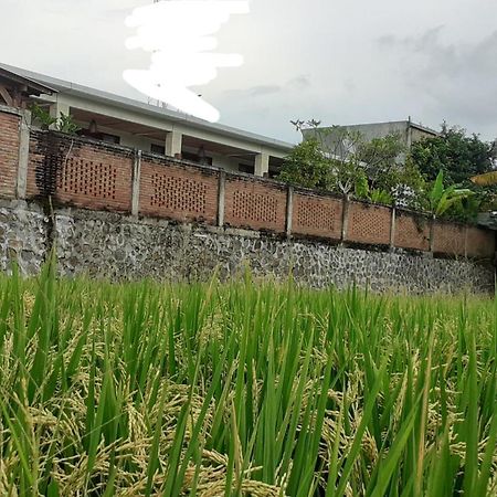 Surya Lombok Accommodation Selong Belanak Ngoại thất bức ảnh