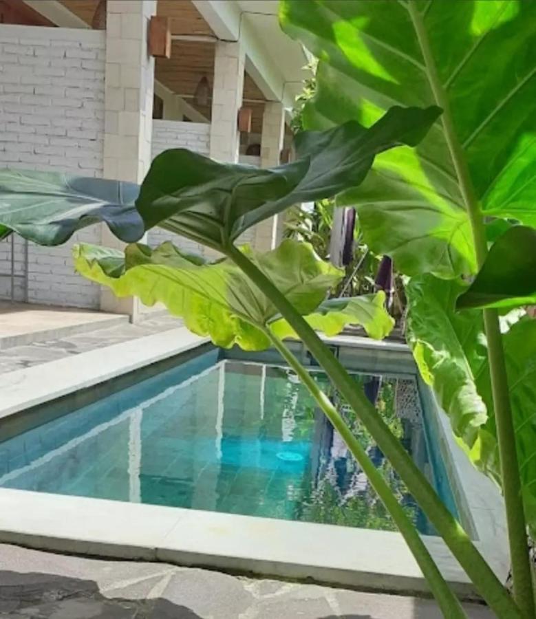 Surya Lombok Accommodation Selong Belanak Ngoại thất bức ảnh