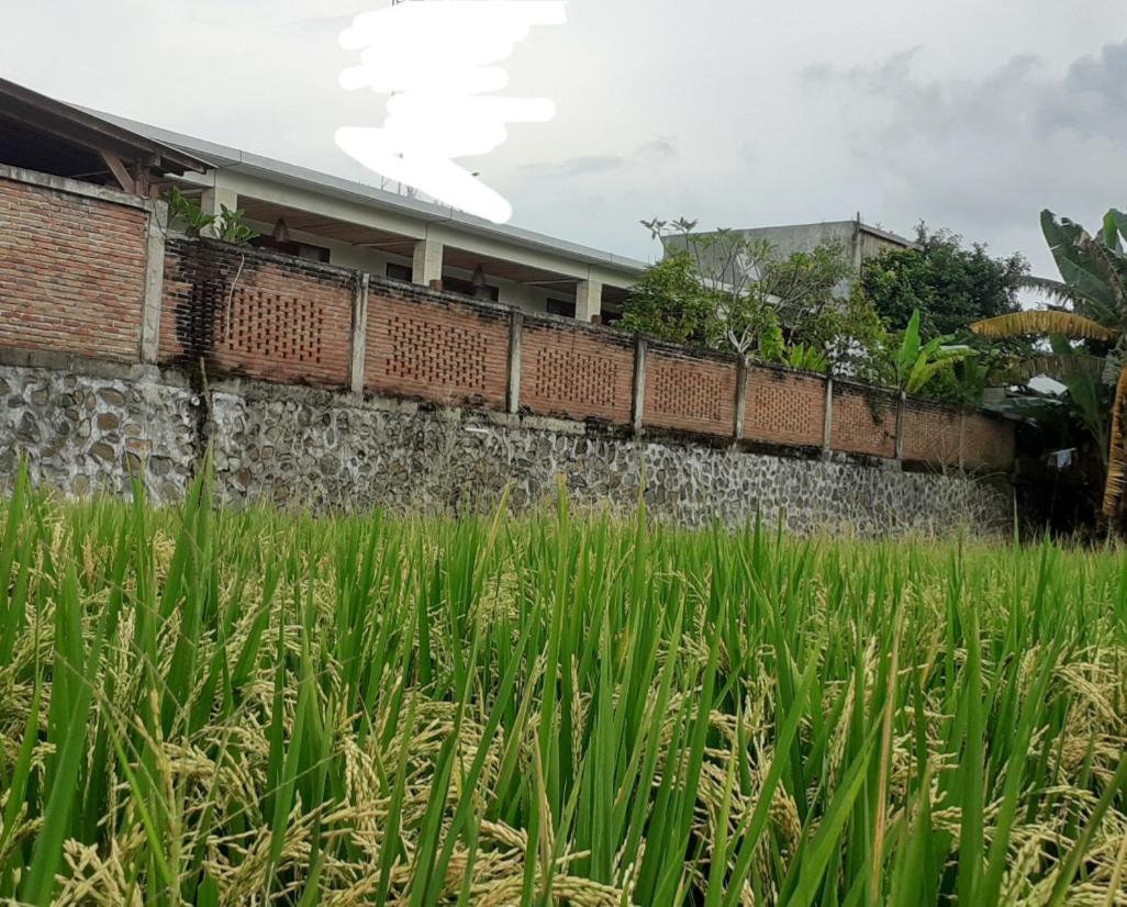 Surya Lombok Accommodation Selong Belanak Ngoại thất bức ảnh