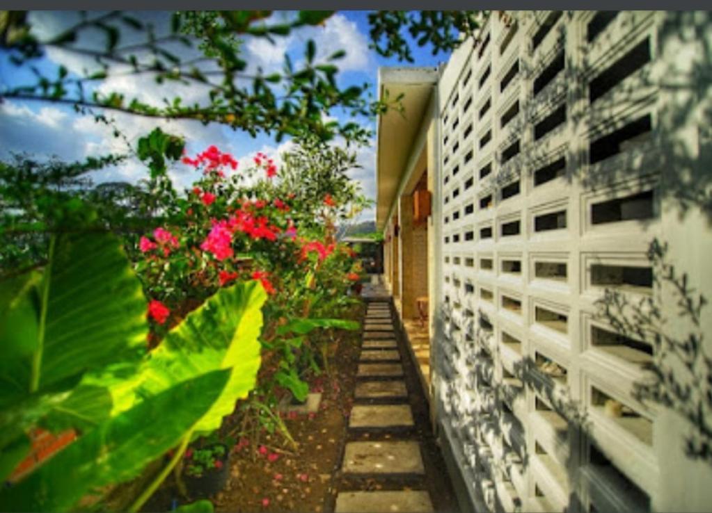 Surya Lombok Accommodation Selong Belanak Ngoại thất bức ảnh